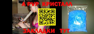 спиды Шахты